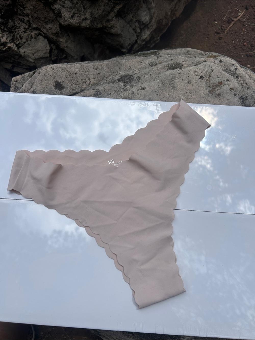 Victoria's Secret Seamless Scallop Edge Panty in Blush XS